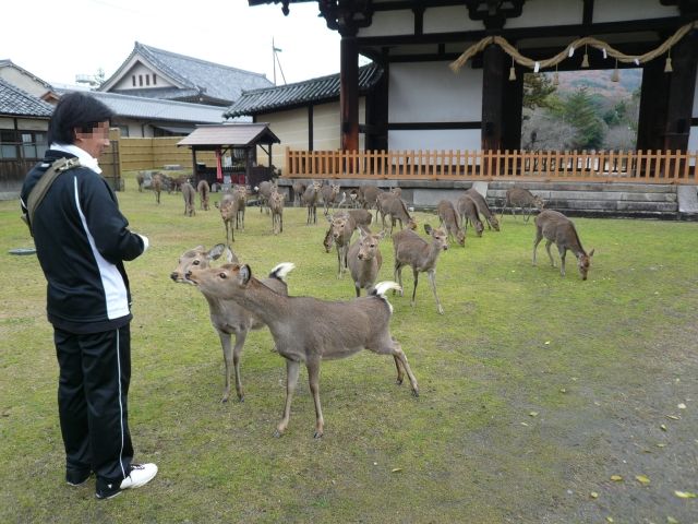 奈良自転車の旅 Part1_f0097683_2003673.jpg