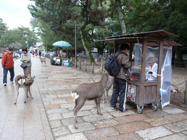 奈良自転車の旅 Part1_f0097683_201176.jpg