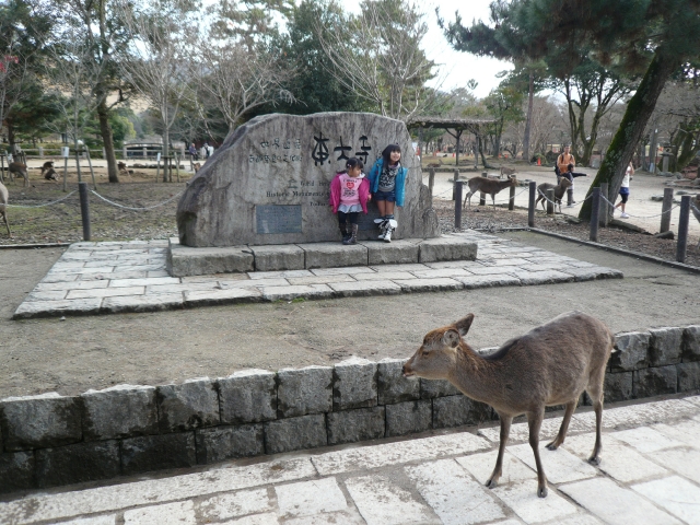 奈良自転車の旅 Part2_f0097683_20131345.jpg
