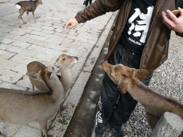 奈良自転車の旅 Part2_f0097683_20132872.jpg