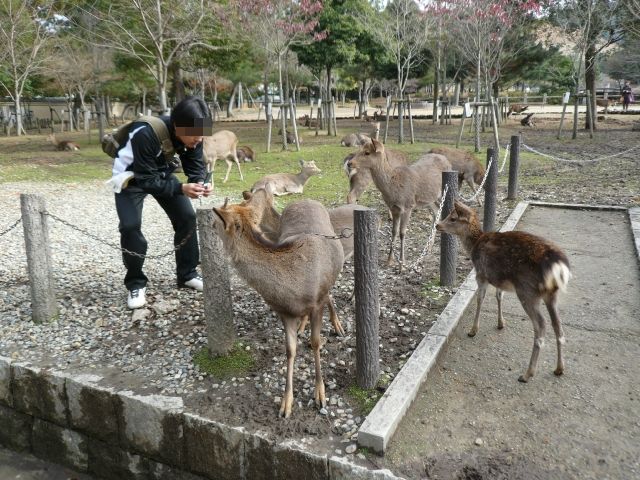 奈良自転車の旅 Part2_f0097683_20133759.jpg