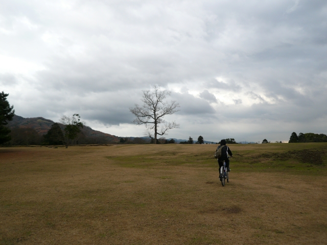 奈良自転車の旅 Part1_f0097683_201441.jpg