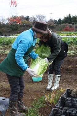 12月13日の農園講座_f0054197_5472542.jpg