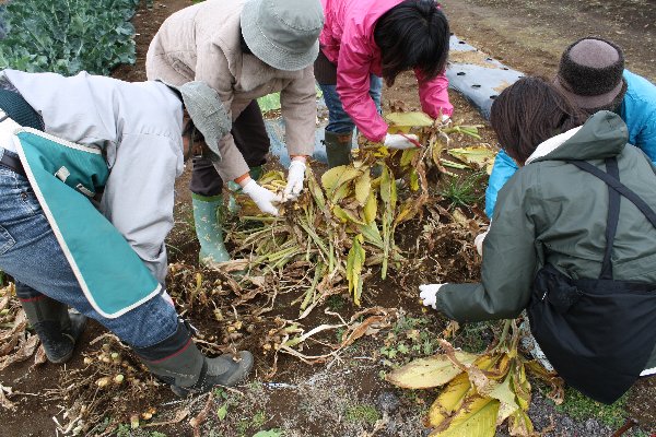 12月13日の農園講座_f0054197_5473715.jpg