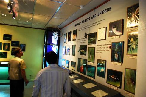 c0132904_15534295.jpg