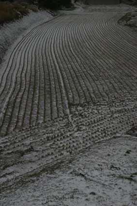 e0148212_14463226.jpg