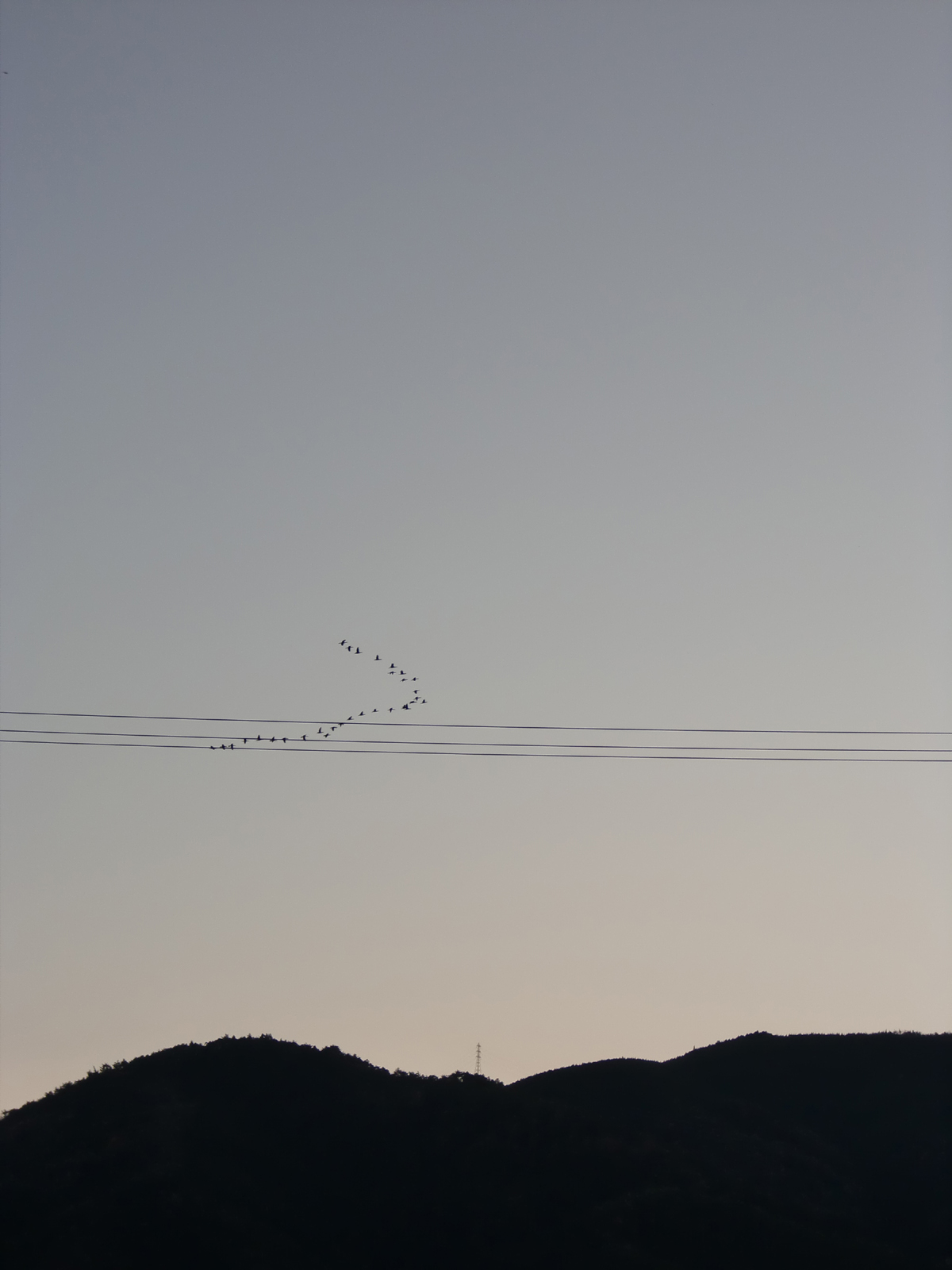 おさかなの国。_f0150413_665921.jpg