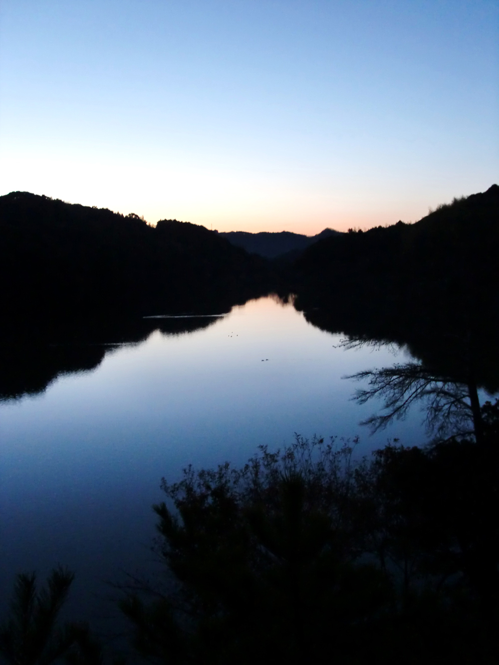 おさかなの国。_f0150413_69193.jpg