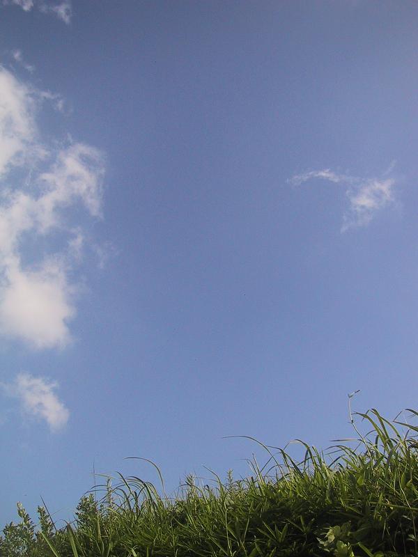 c0097620_11512694.jpg