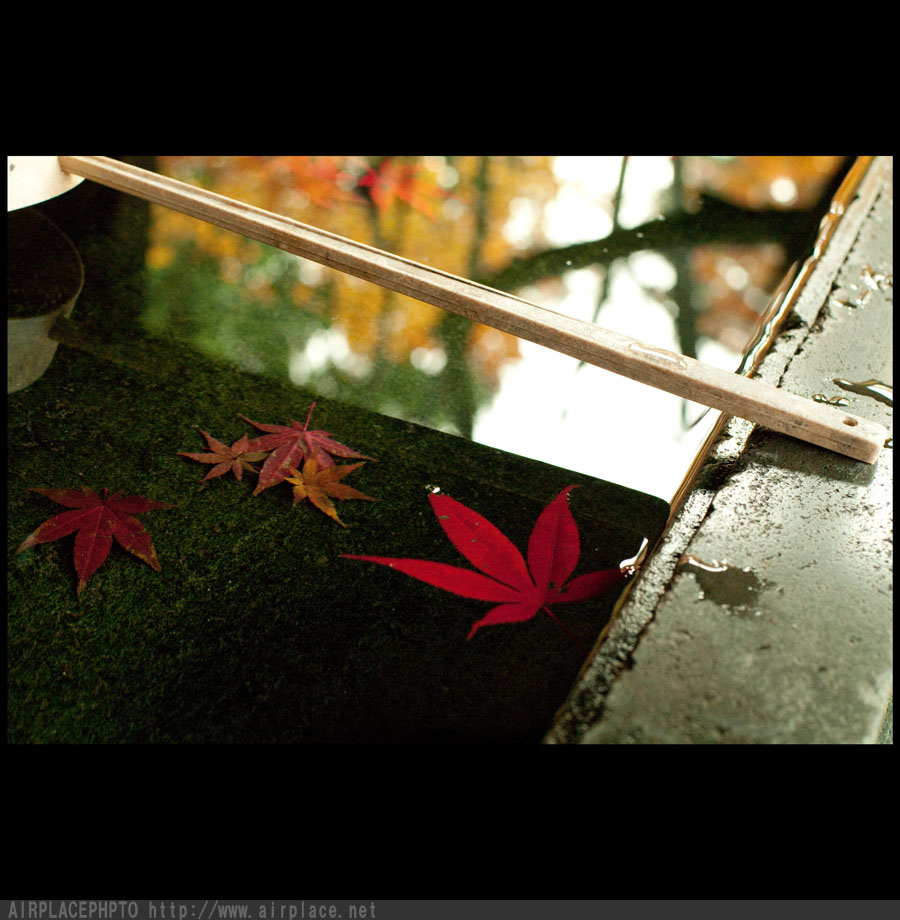 晩秋の赤　～平林寺～_f0086721_14112455.jpg