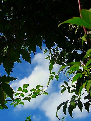 f0170524_142741100.jpg