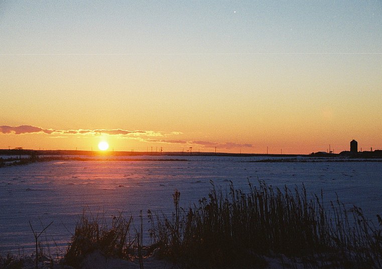f0118332_11078.jpg