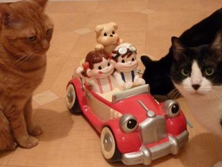 ペコポコカー猫 空しぇるのぇる編。_a0143140_22571612.jpg