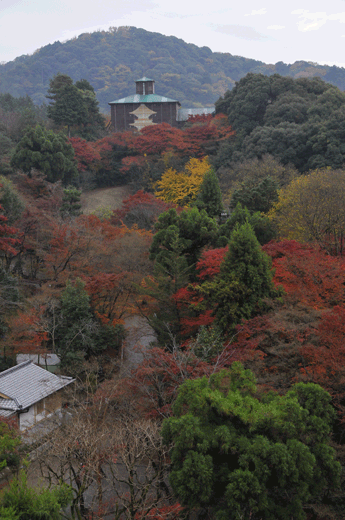c0093046_7274775.gif