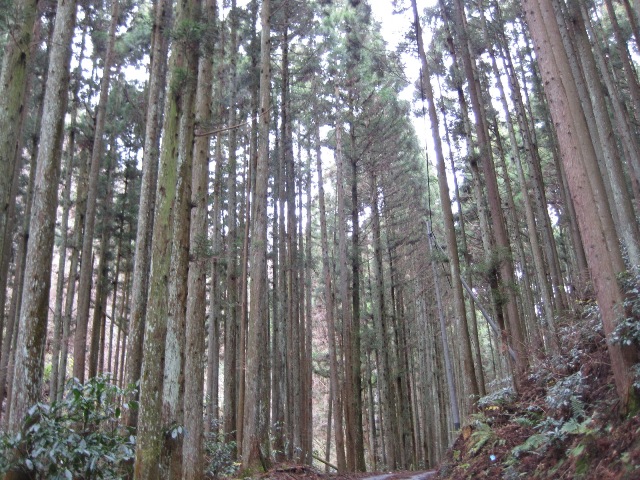 c0217246_15473064.jpg