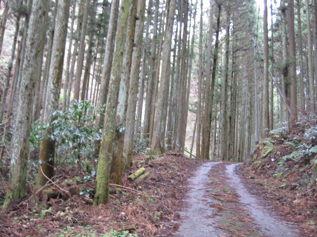 c0217246_15481618.jpg