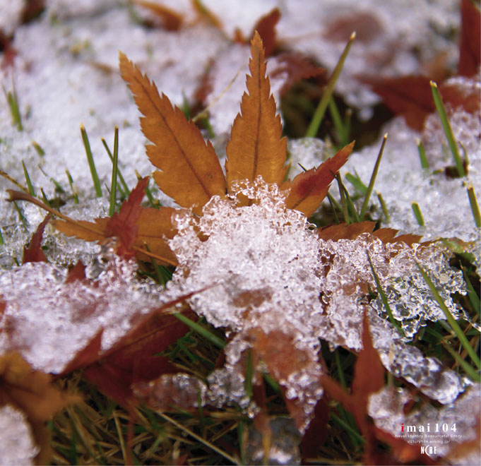 今朝ようやく初雪が・・・_e0188168_102926.jpg