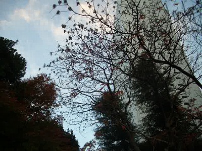 炊き出しボランティア日記Vol.13_f0021370_111938.jpg