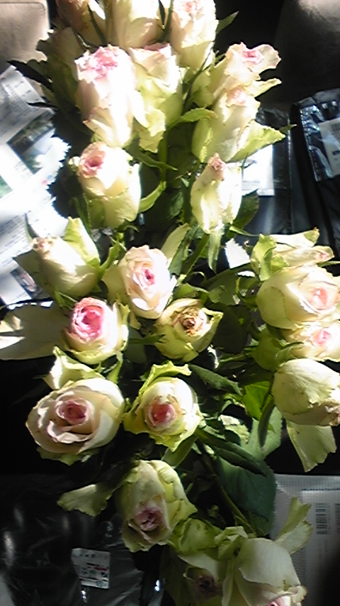 c0222675_935767.jpg