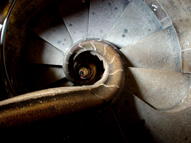 b0110880_2525355.jpg