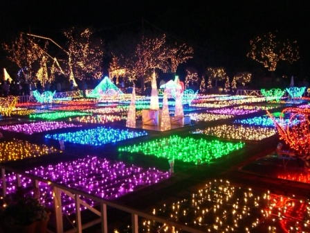 ひかりの夜..........☆☆☆_d0127182_14172050.jpg