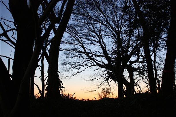 b0133886_23254931.jpg