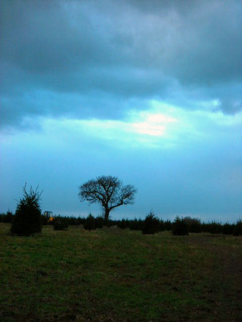 e0160905_615812.jpg