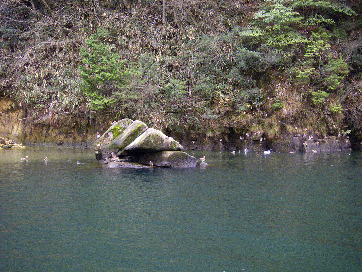 c0115616_6101311.jpg