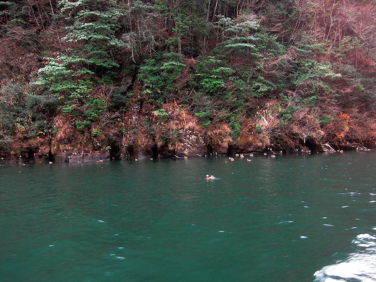 c0115616_61066.jpg