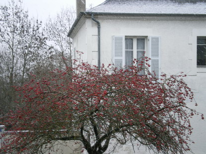 c0124619_23582741.jpg