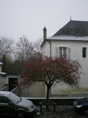 c0124619_2358502.jpg