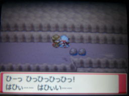 ポケットモンスターハートゴールドプレイ日記（残っているトレーナーの消化）_a0120525_122747.jpg