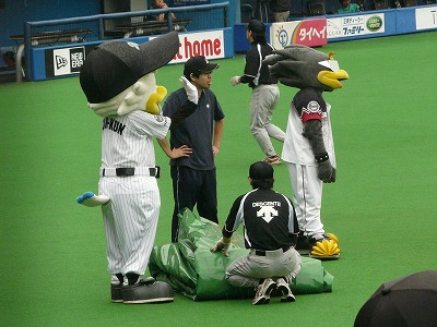 晋吾の勝利をアシスト?_b0166128_2011854.jpg