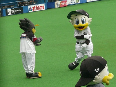 晋吾の勝利をアシスト?_b0166128_20125680.jpg
