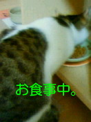 c0052756_23104089.jpg