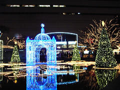f0147759_12402065.jpg