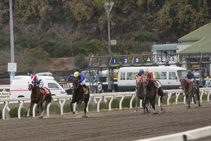 目迫大輔騎手、通算勝利100勝達成～_a0077663_18162350.jpg