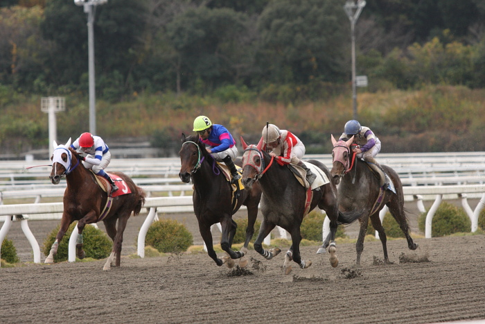 目迫大輔騎手、通算勝利100勝達成～_a0077663_1816329.jpg