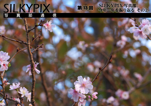 SILKYPIX写真部通信 第13回 SILKYPIX写真部、今年一年を振り返るその２_c0168669_16511480.jpg