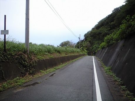 四国の鉄道 3_b0005281_21545951.jpg