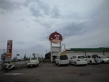 四国の鉄道 3_b0005281_2213468.jpg