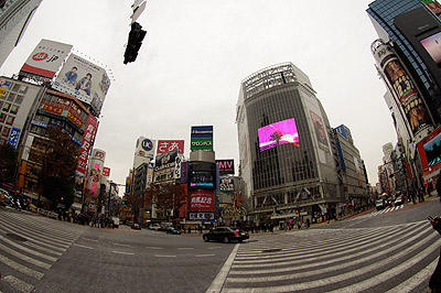 b0056983_13504678.jpg