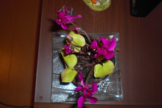 c0081883_22473874.jpg