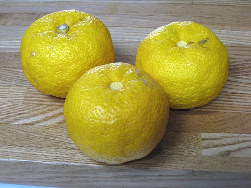 e0160883_1430272.jpg