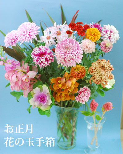 お正月 切り花アソートセット 花の玉手箱_a0115684_21924.jpg