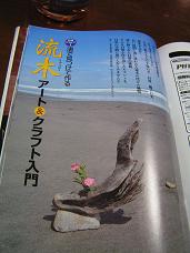 流木と松ぼっくり_c0204385_102382.jpg