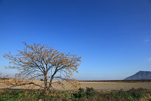 晩秋のなんちゃって北海道_e0190885_1935479.jpg