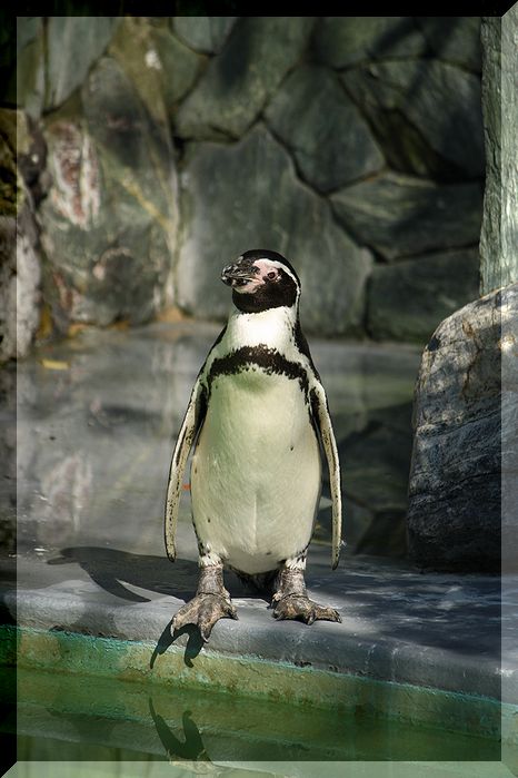 ウン十年ぶりの動物園は。。。_f0085185_2221875.jpg