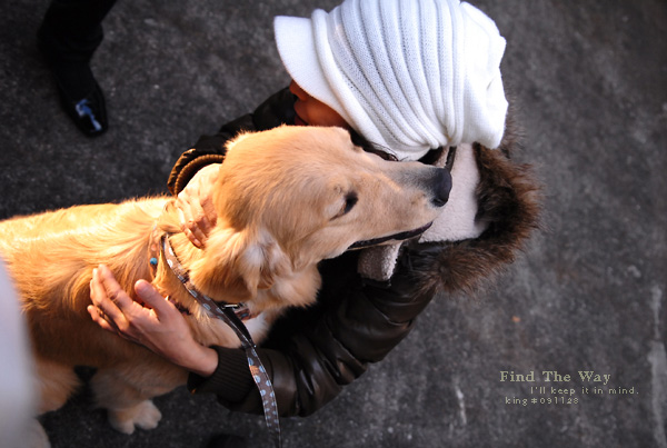 【犬的散歩日和】横浜・山手 1/3 〜 クリスマストイズでの出会い_f0054594_5375040.jpg