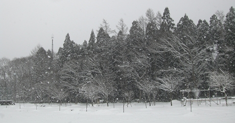 a0138198_15134368.jpg